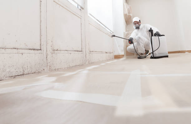 24/7 Emergency Mold Remediation experts in Elberon, VA